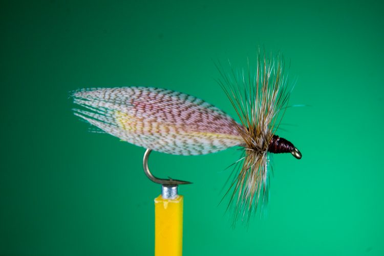 Fly Pattern Hornberg Western Massachusetts Fly Fishermen