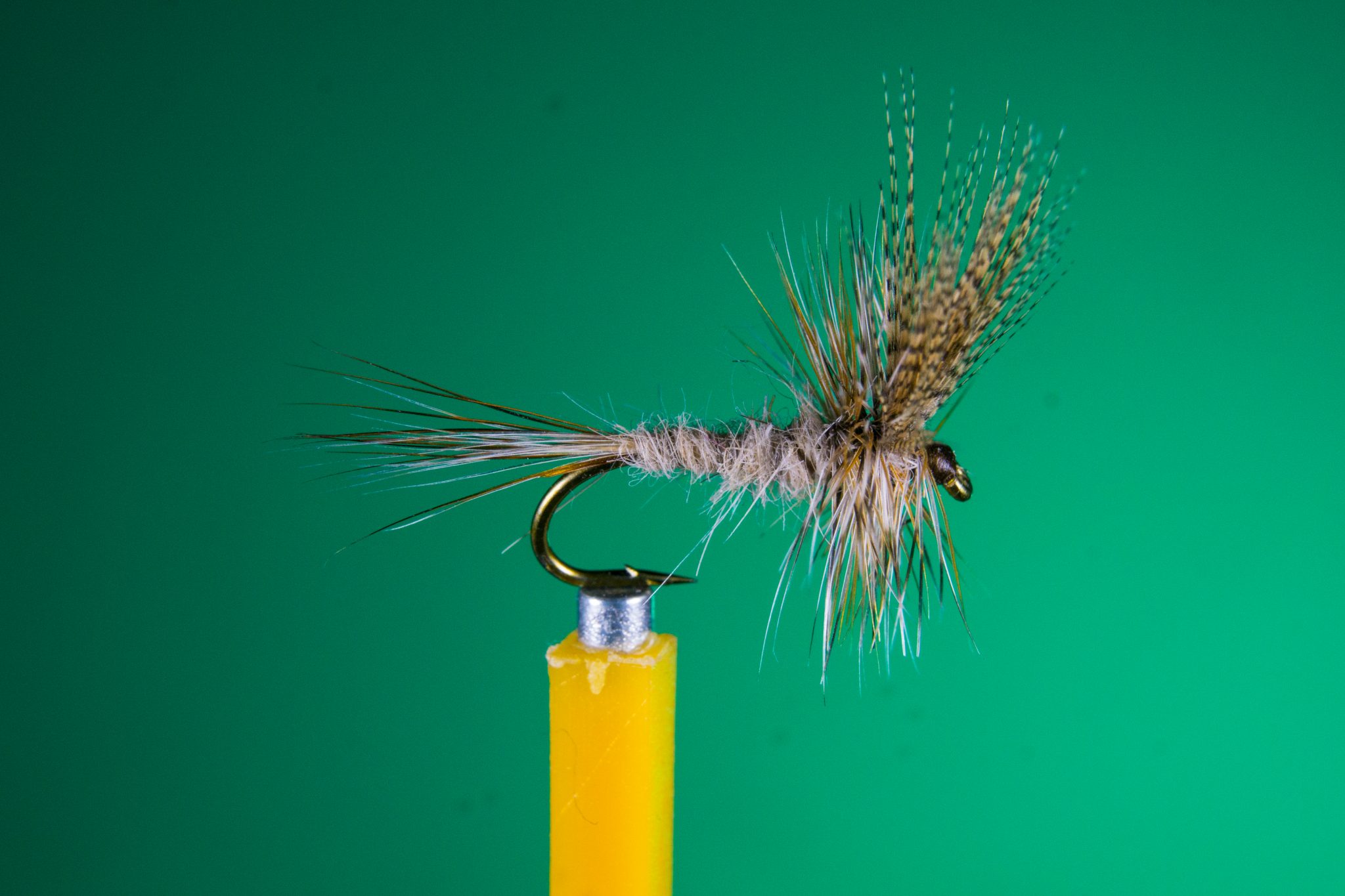 Fly Pattern March Brown (Dry) Western Massachusetts Fly Fishermen