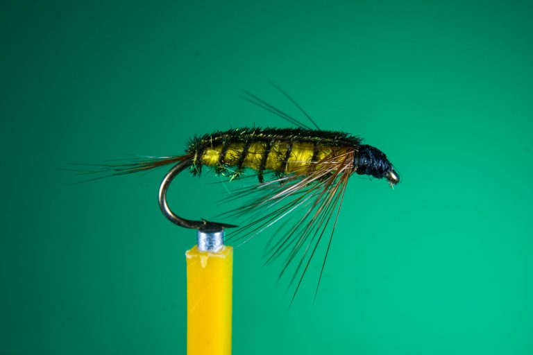 Fly Pattern Tellico Nymph Western Massachusetts Fly Fishermen